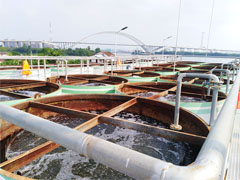 海珠区人纸涌一体化污水处理设施项目