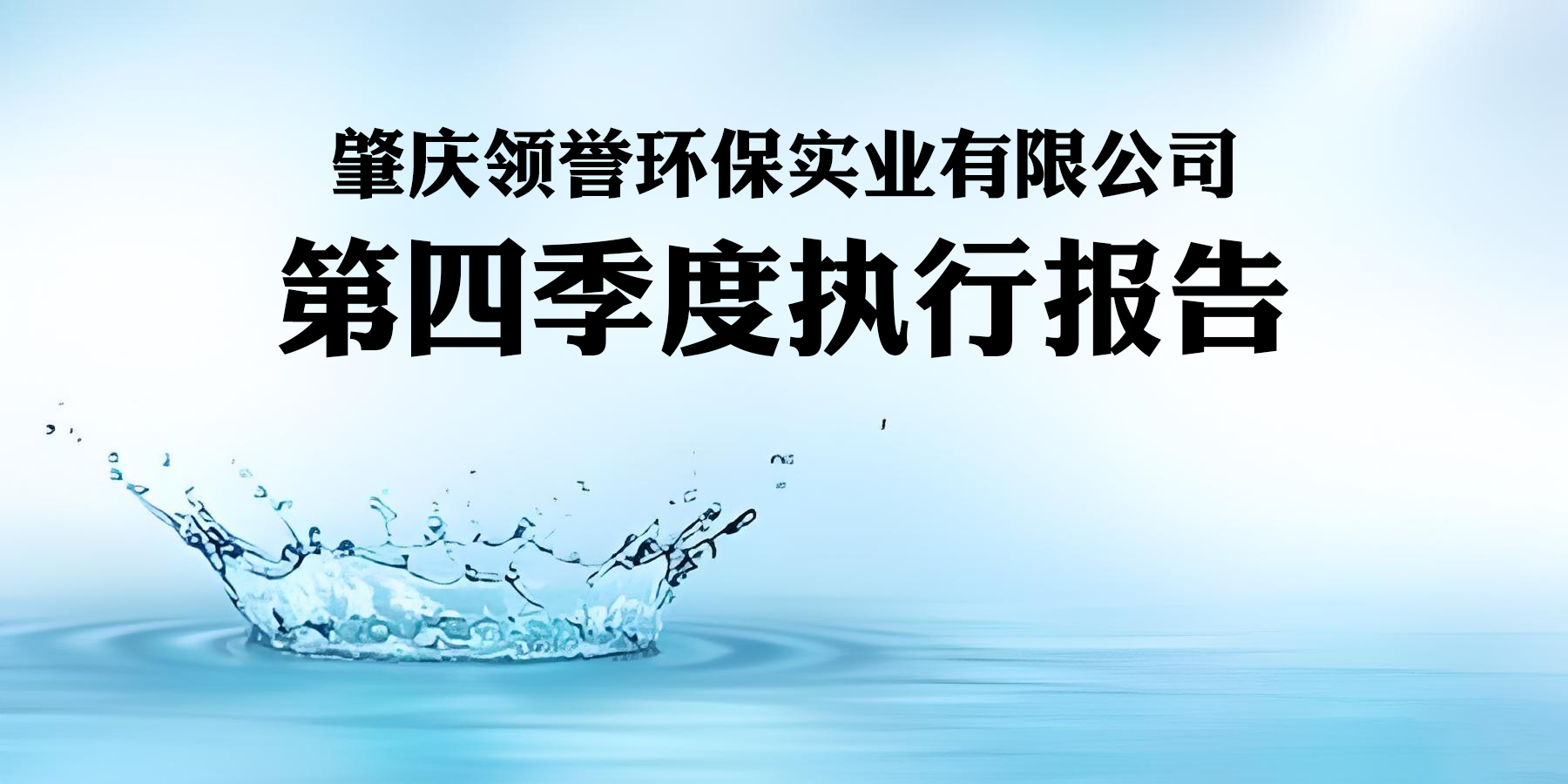 第四季度执行报告-肇庆领誉环保实业有限公司