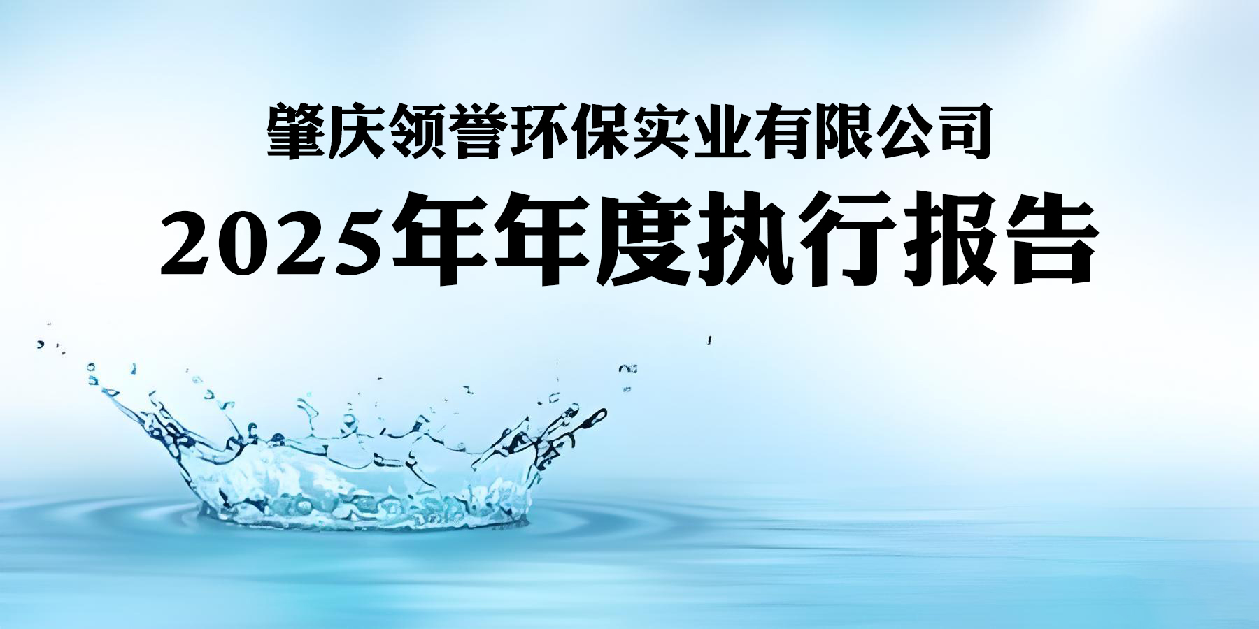 2025年年度执行报告-肇庆领誉环保实业有限公司